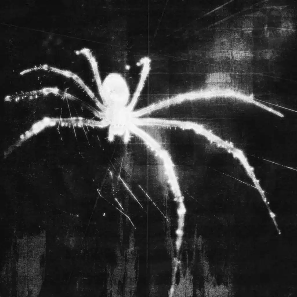 I'll See You When the Night Comes (Hardstyle)