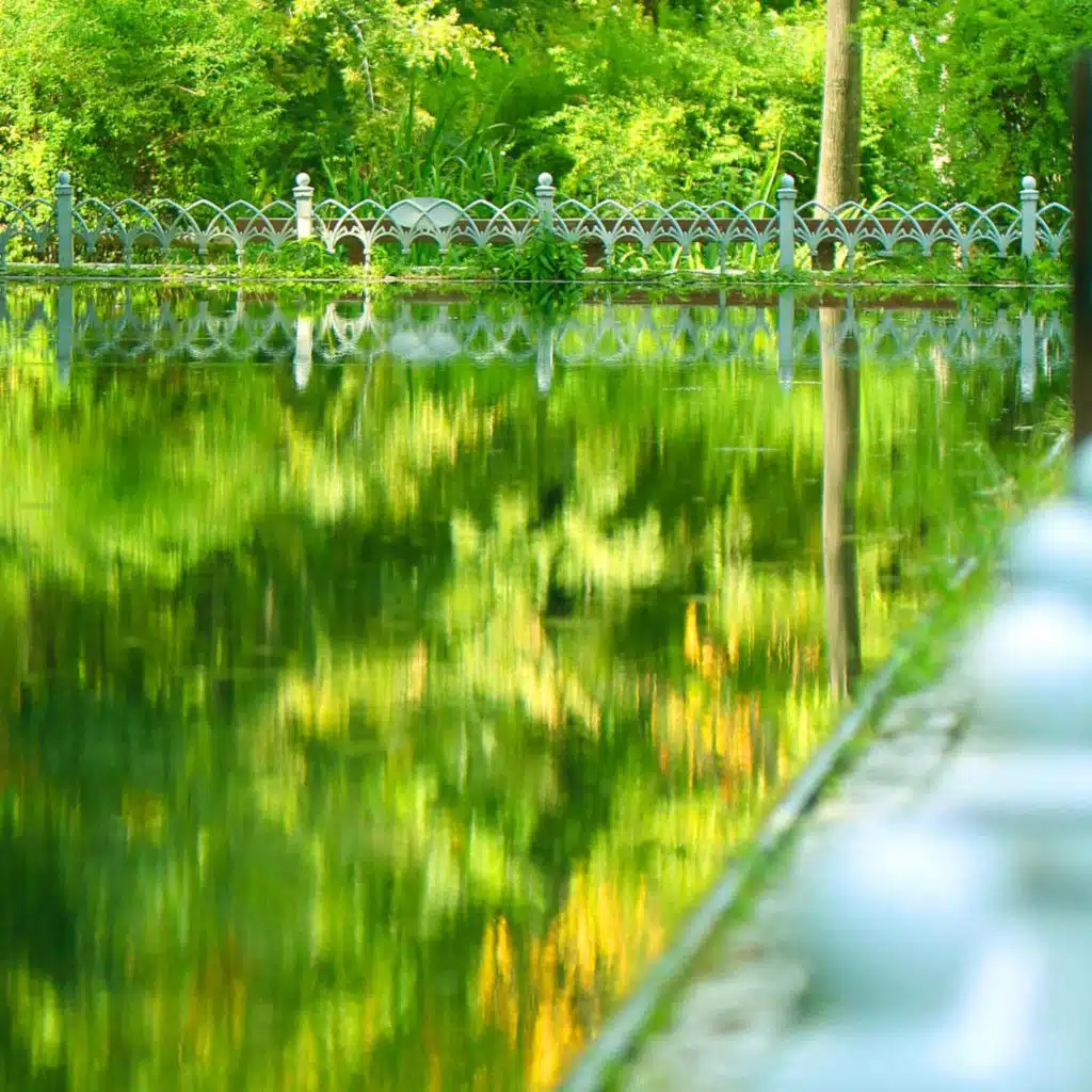 A step a word (SAVED)