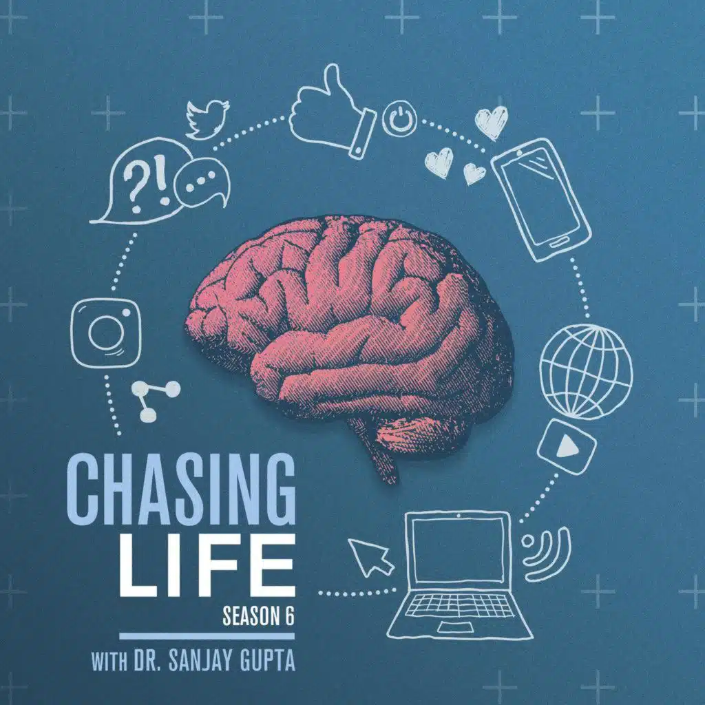 Inside a Lab Studying Toddlers and Touchscreens