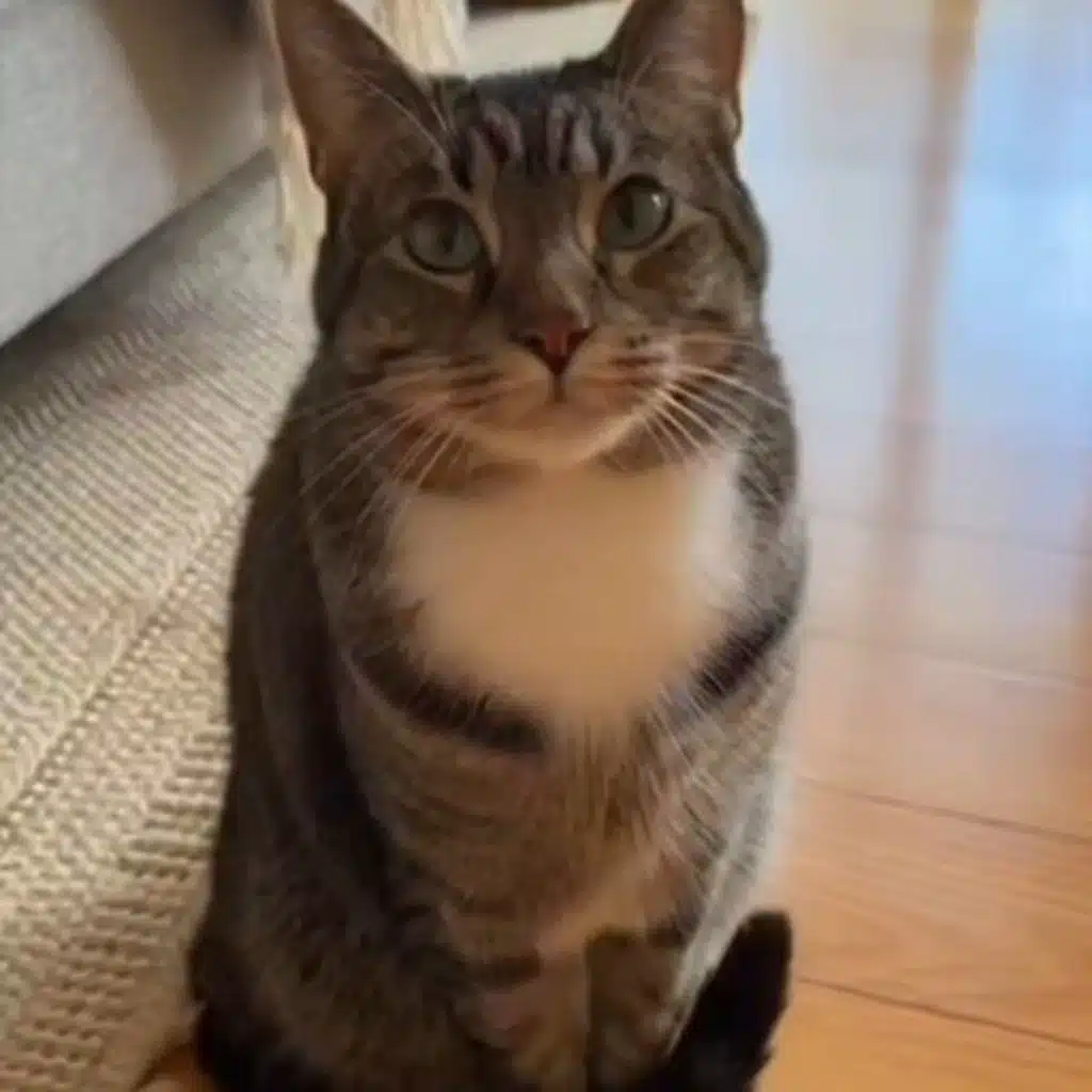 Episode 187: Women Have Too Much Baggage