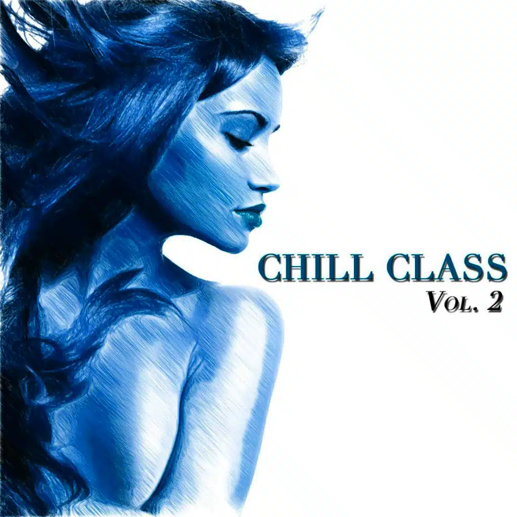 Chill Class, Vol. 2