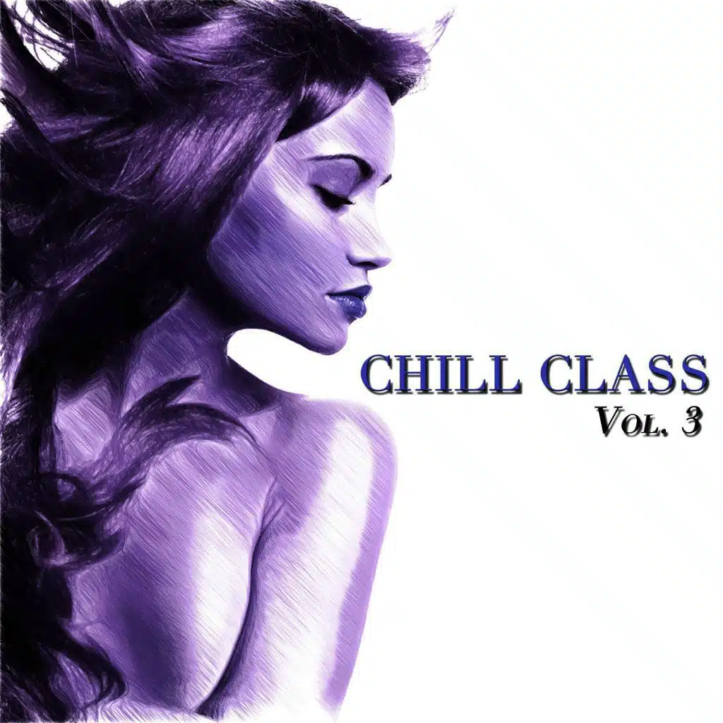 Chill Class, Vol. 3