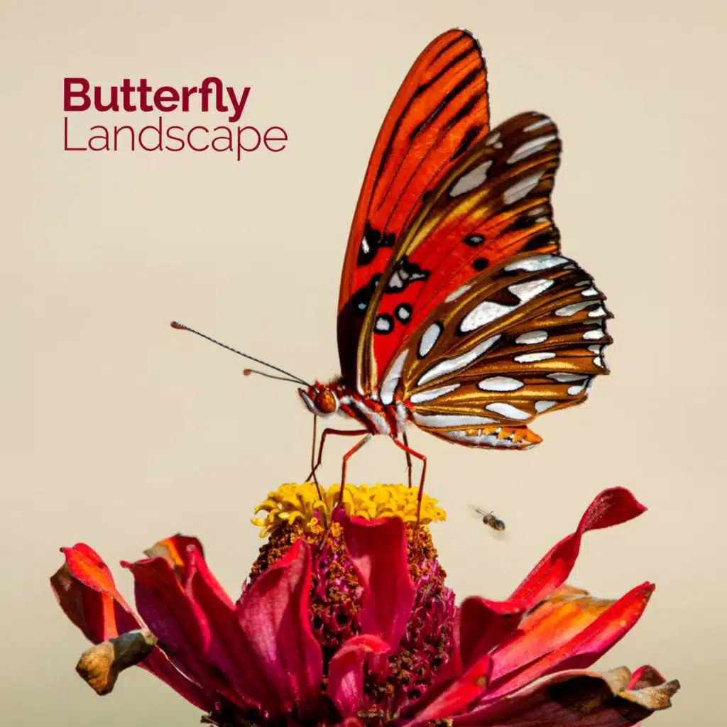 Butterfly Landscape