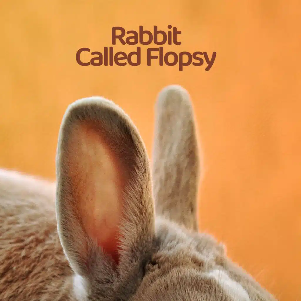 Rabbit Called Flopsy