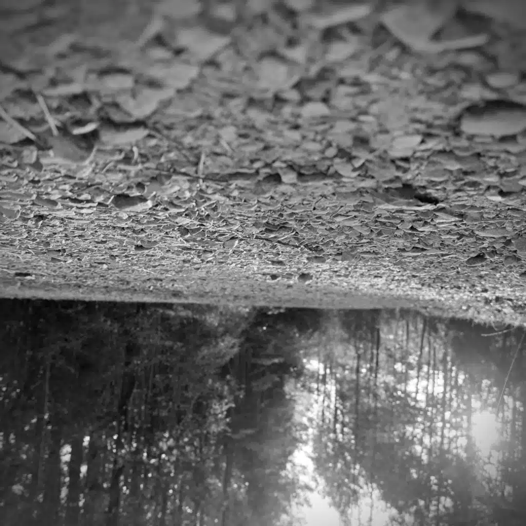 good things take time