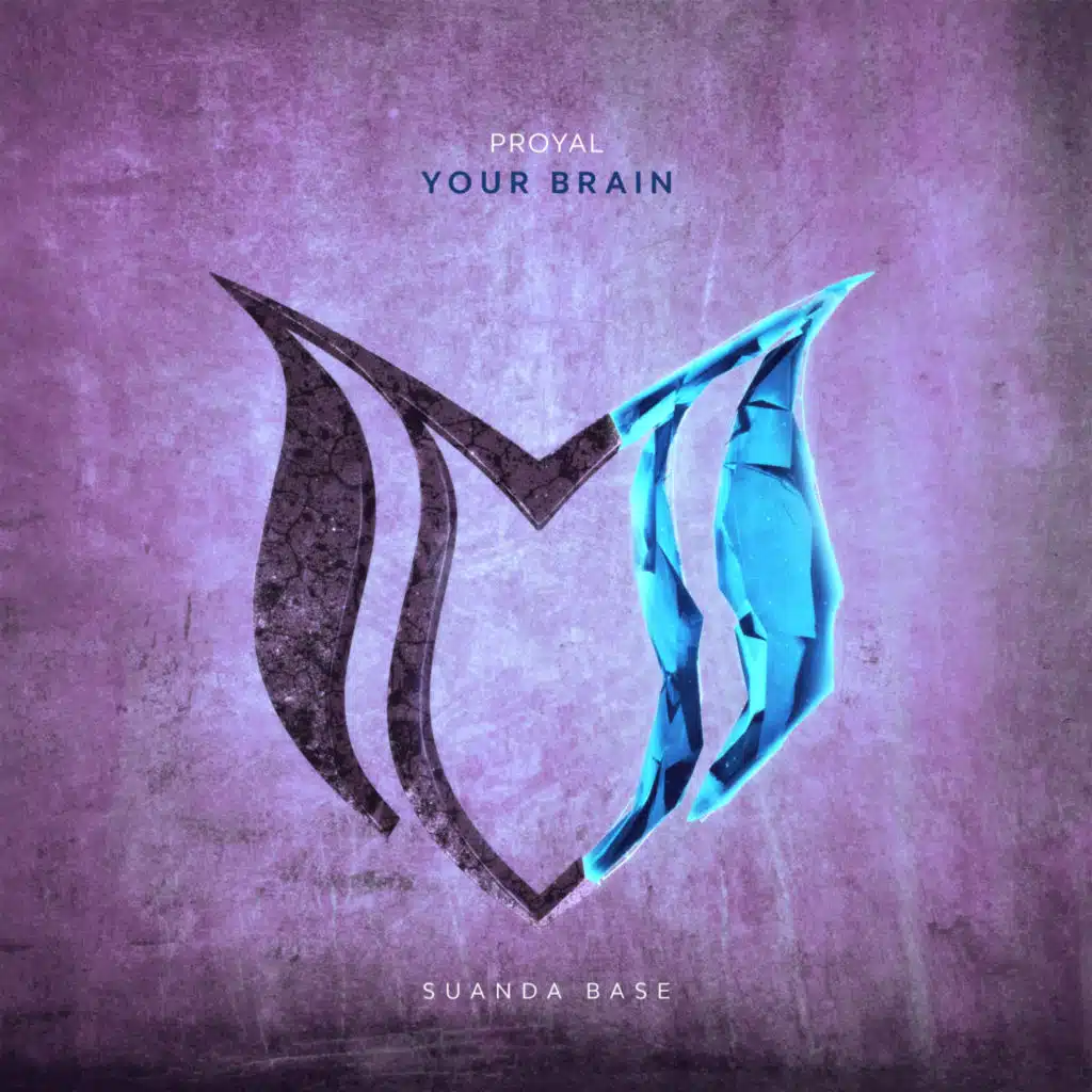 Your Brain