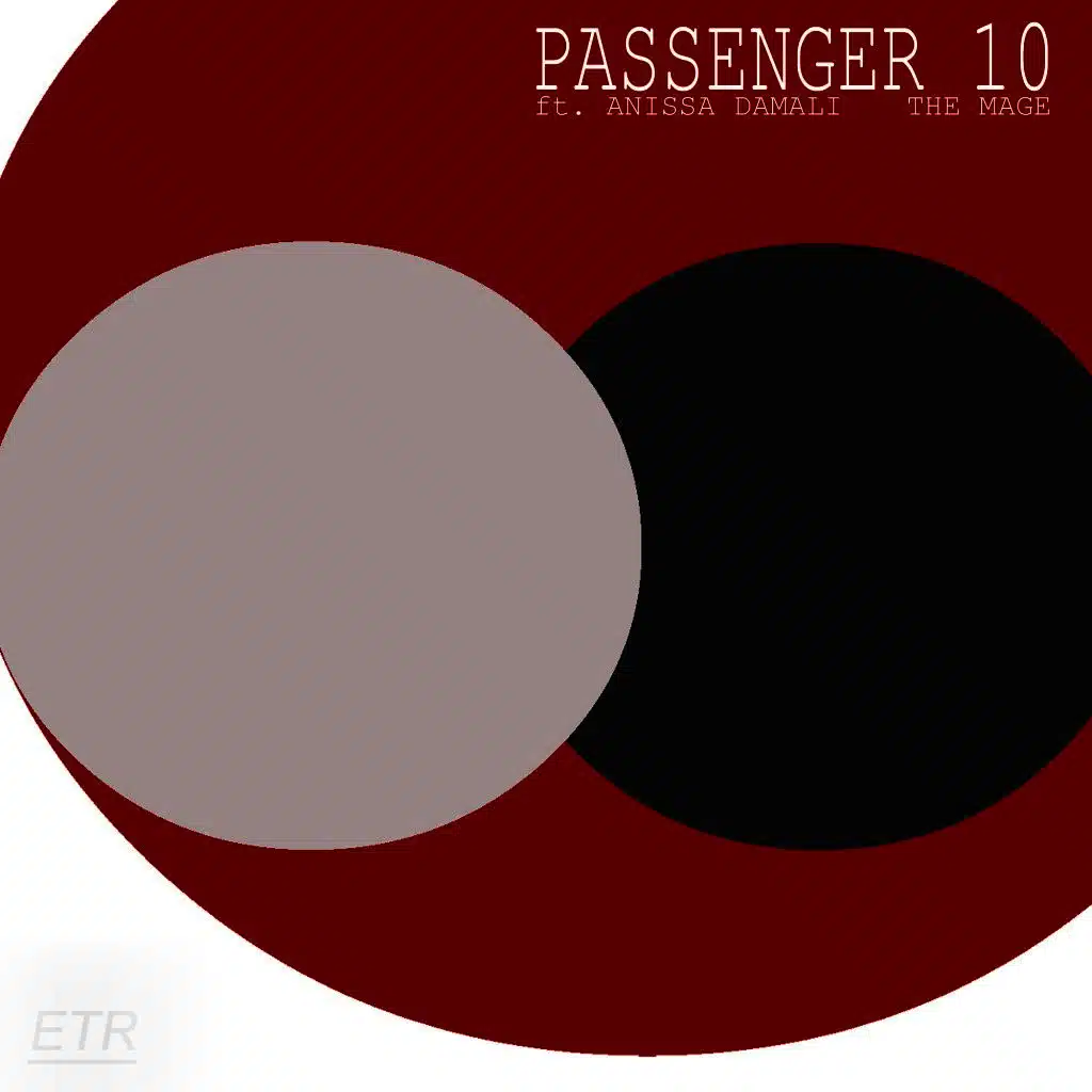 Passenger 10 feat. Anissa Damali