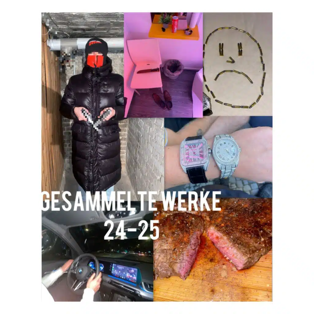 Gesammelte Werke 24-25