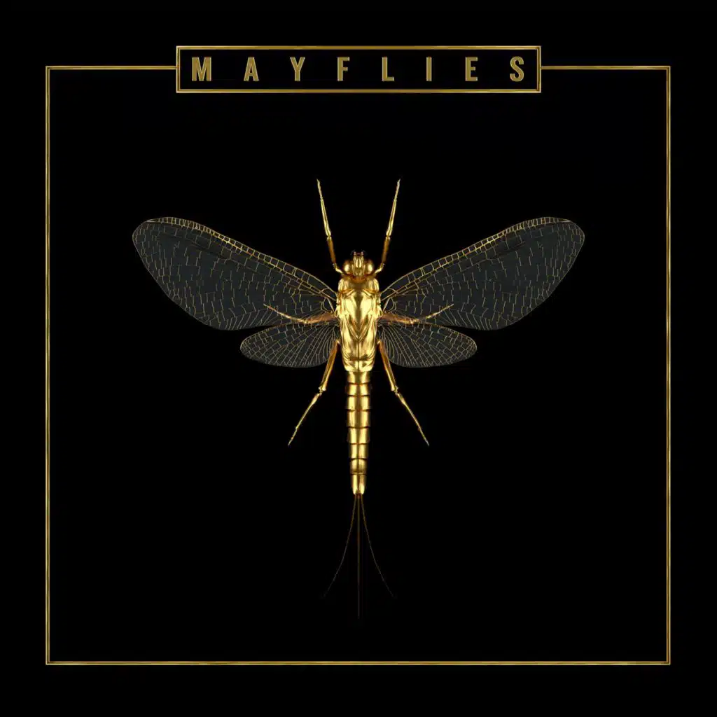 Mayflies