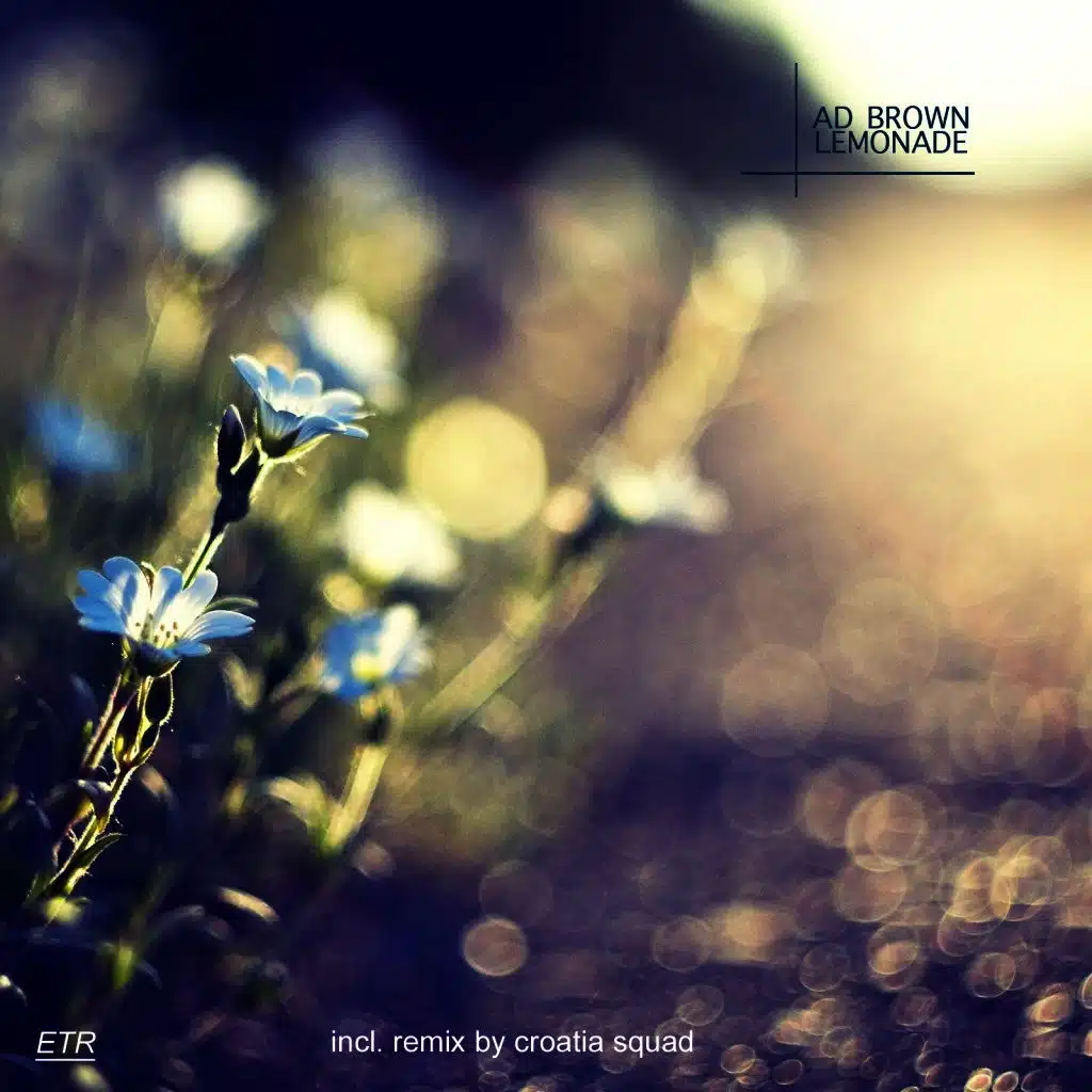 Lemonade (Croatia Squad Remix)