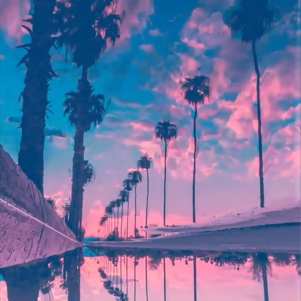 紫色挎包