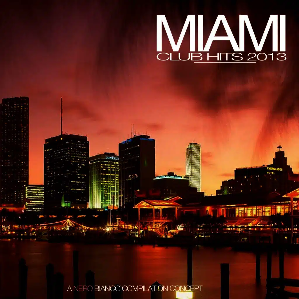 Miami Club Hits 2013