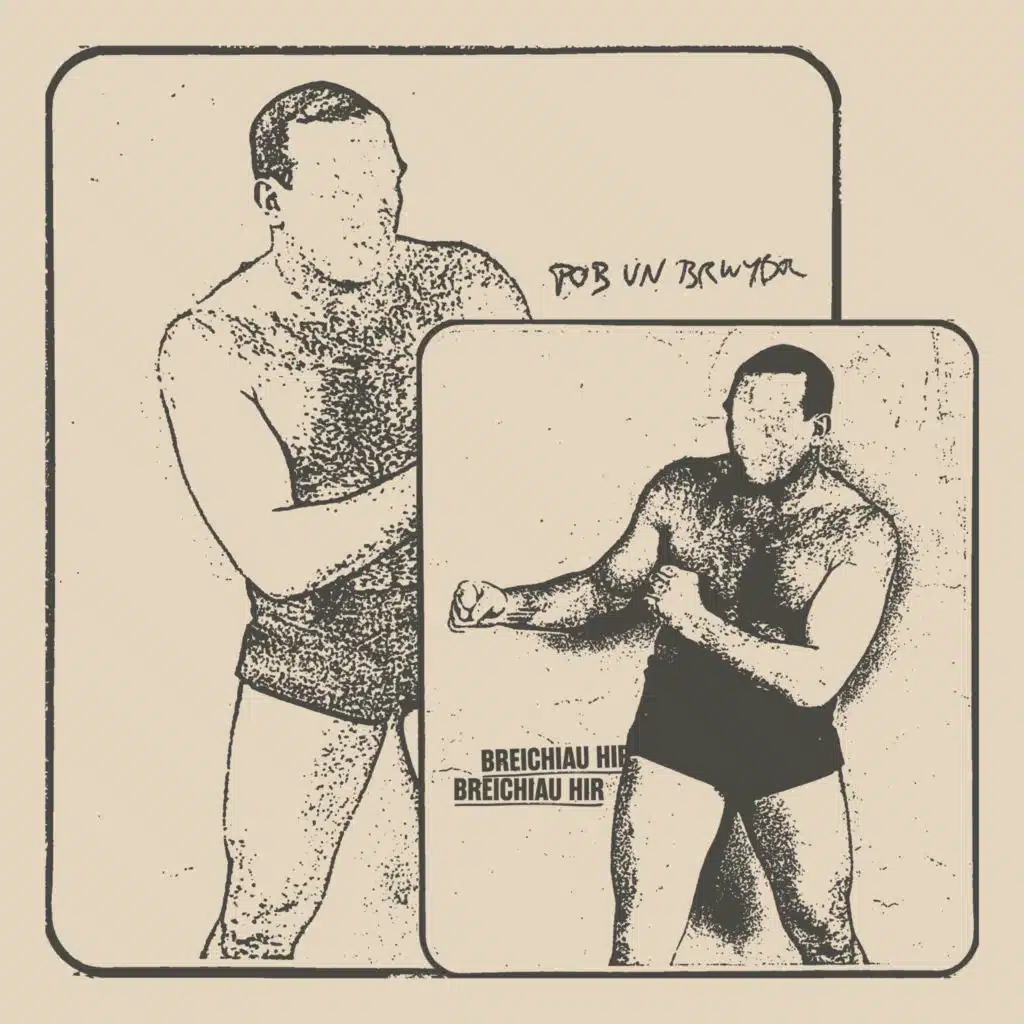 Breichiau Hir