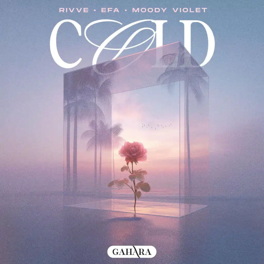 rivve, EFA & Moody Violet