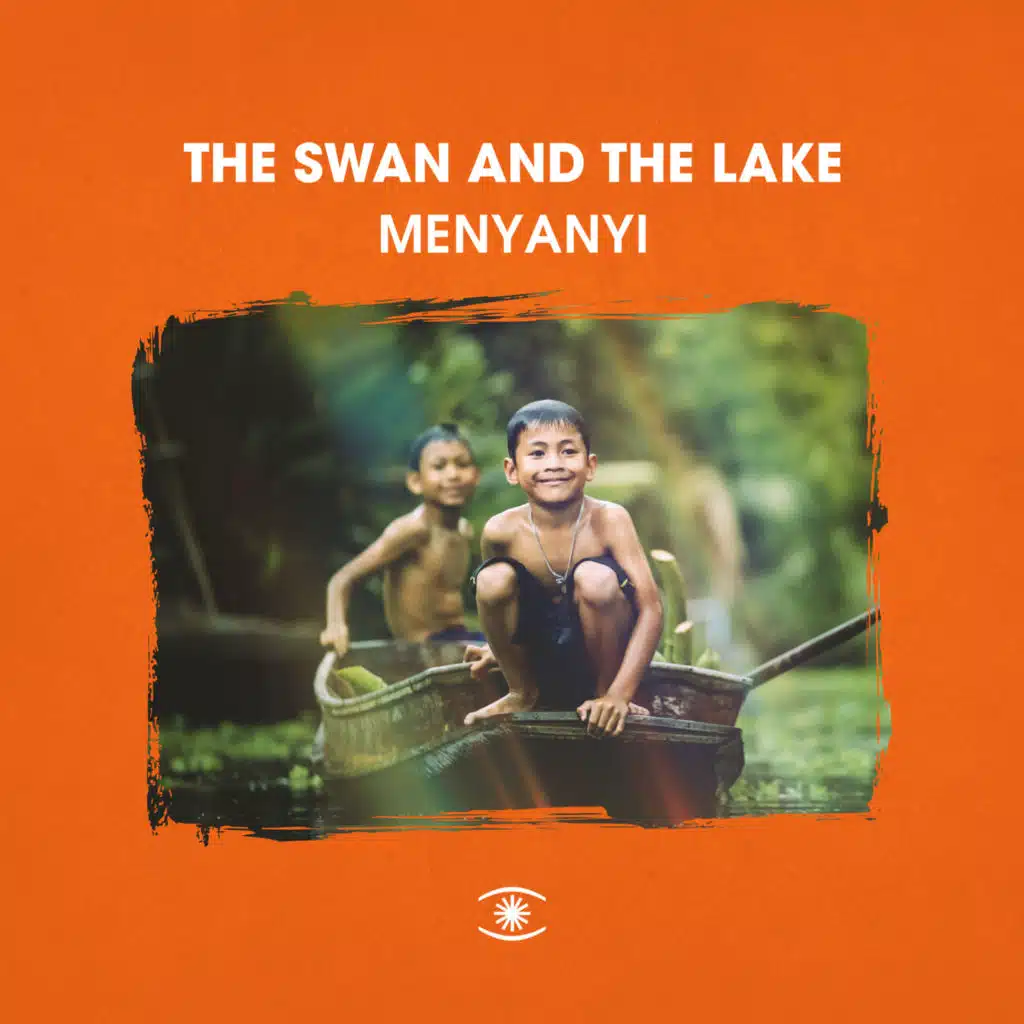 The Swan And The Lake