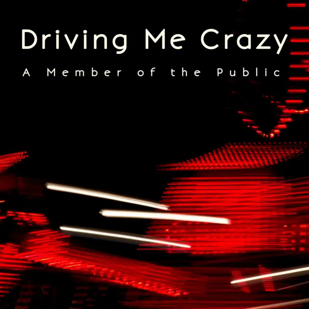 A Member of the Public