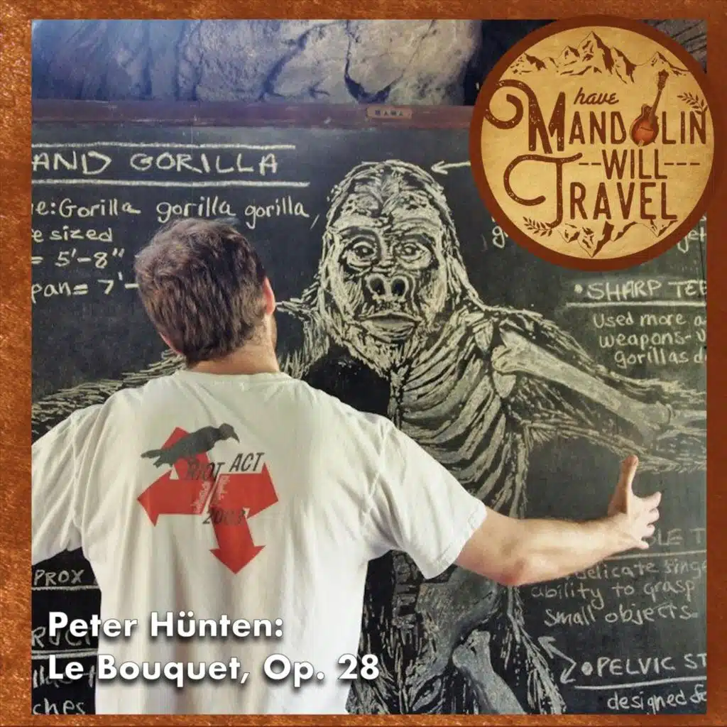 Have Mandolin Will Travel