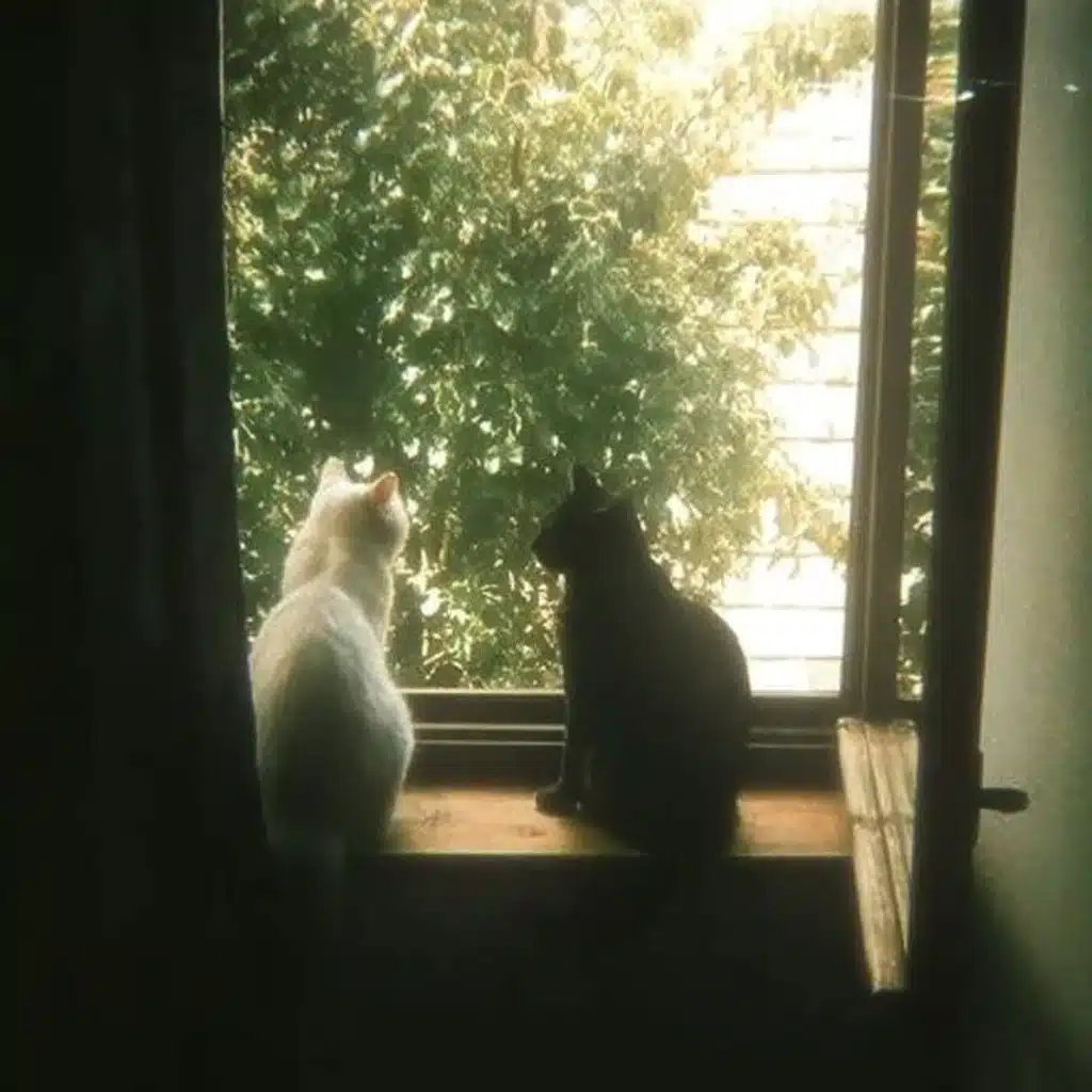 <3