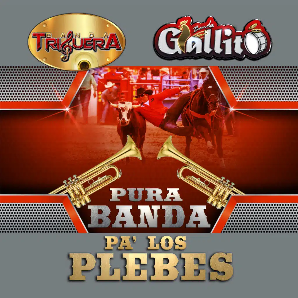 Pura Banda Pa' los Plebes