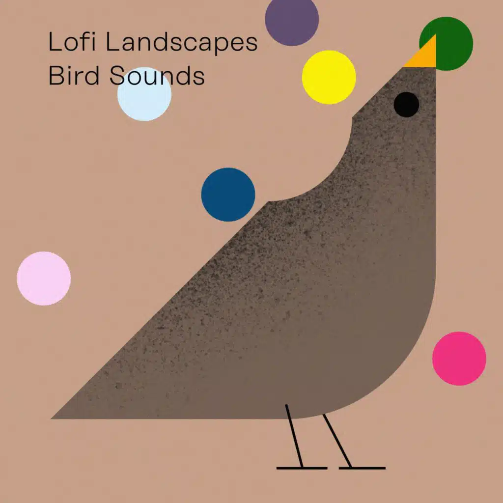 Lofi Landscapes: Bird Sounds