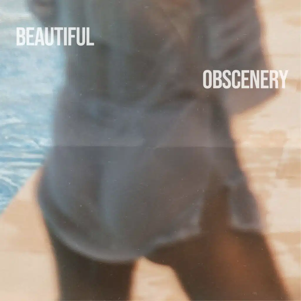 Beautiful Obscenery