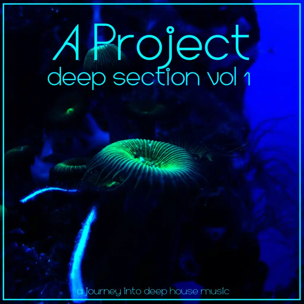 Deep Section , Vol1
