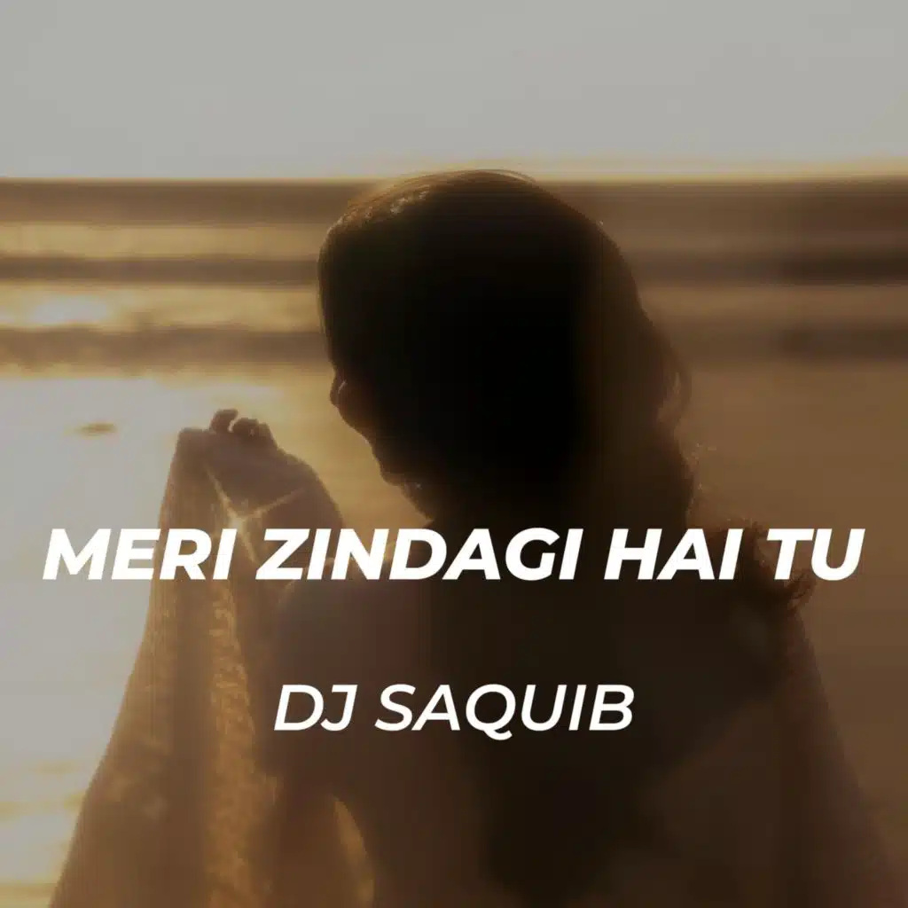 Meri Zindagi Hai Tu