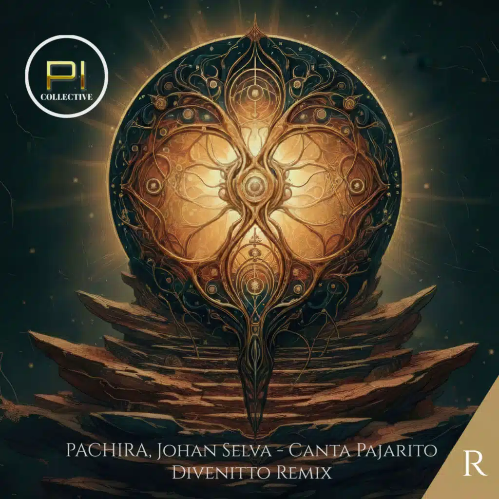 PACHIRA, Johan Selva & Divenitto