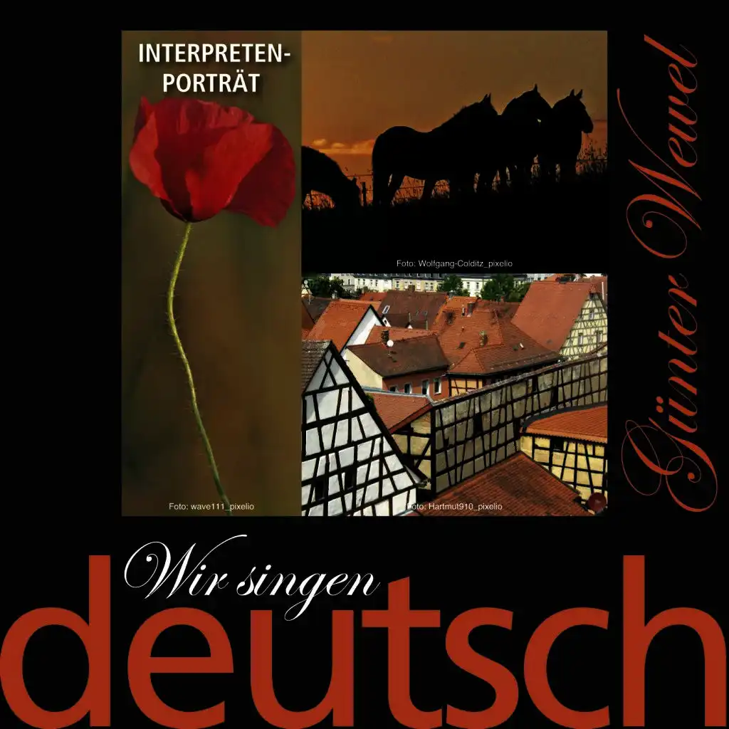 Wir singen deutsch - Interpreten-Porträt