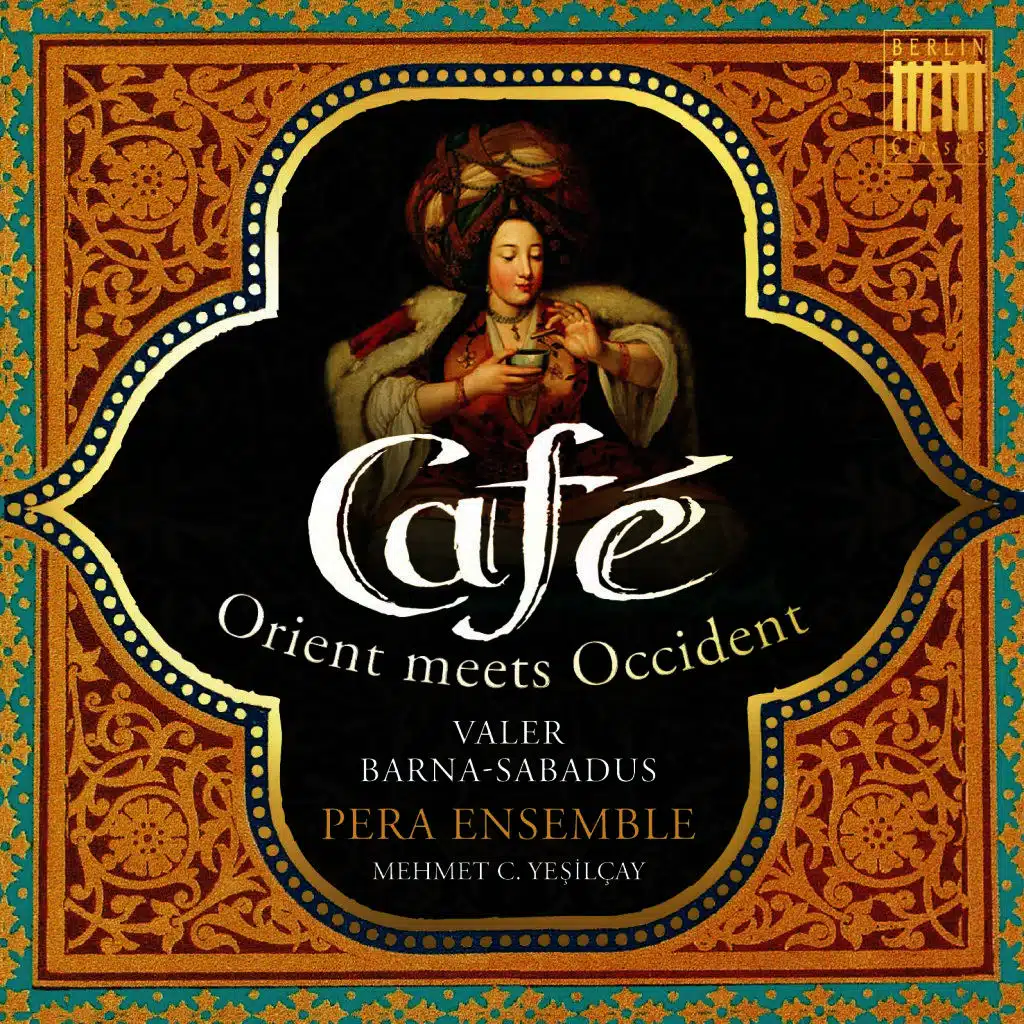 Concerto for Viola D'amore, Lute, Strings and Basso Continuo in D Minor, RV 540: 2. Largo