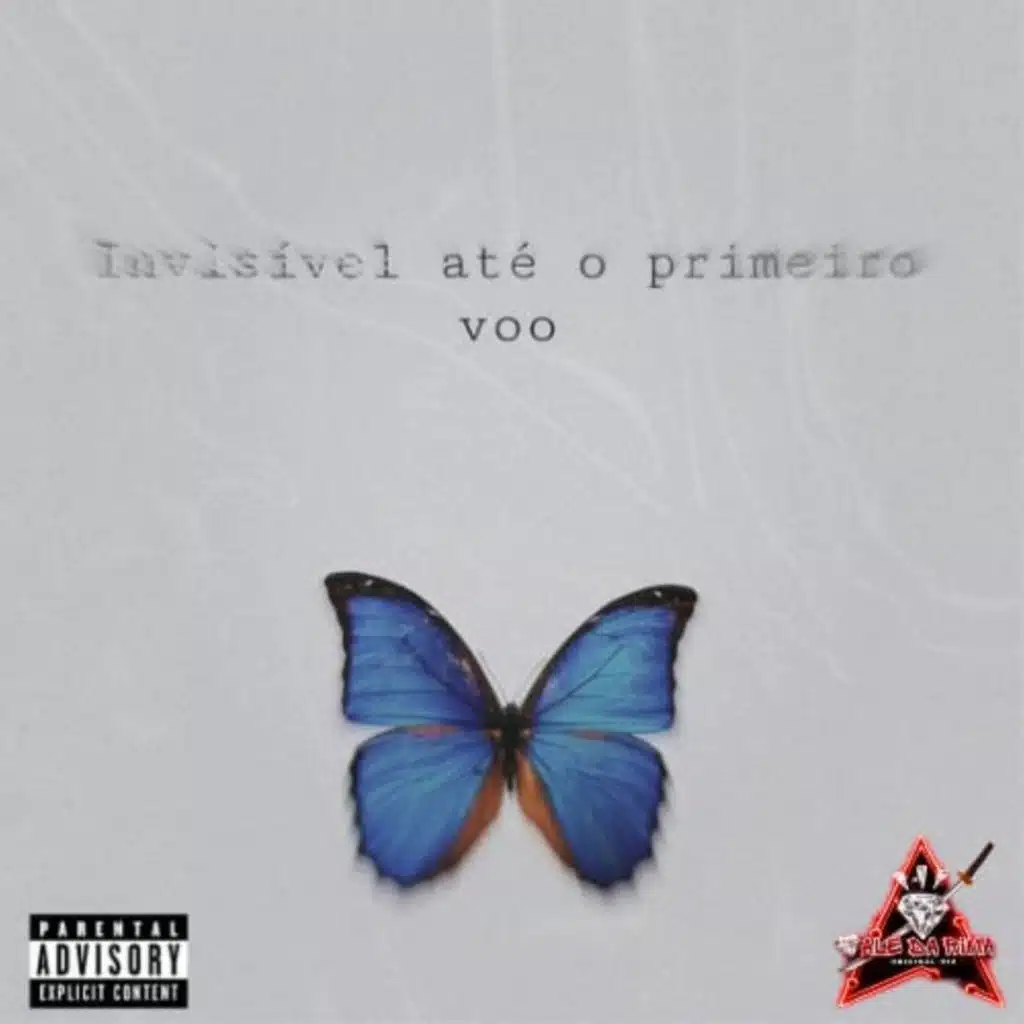 Invisivel atè o primeiro voo