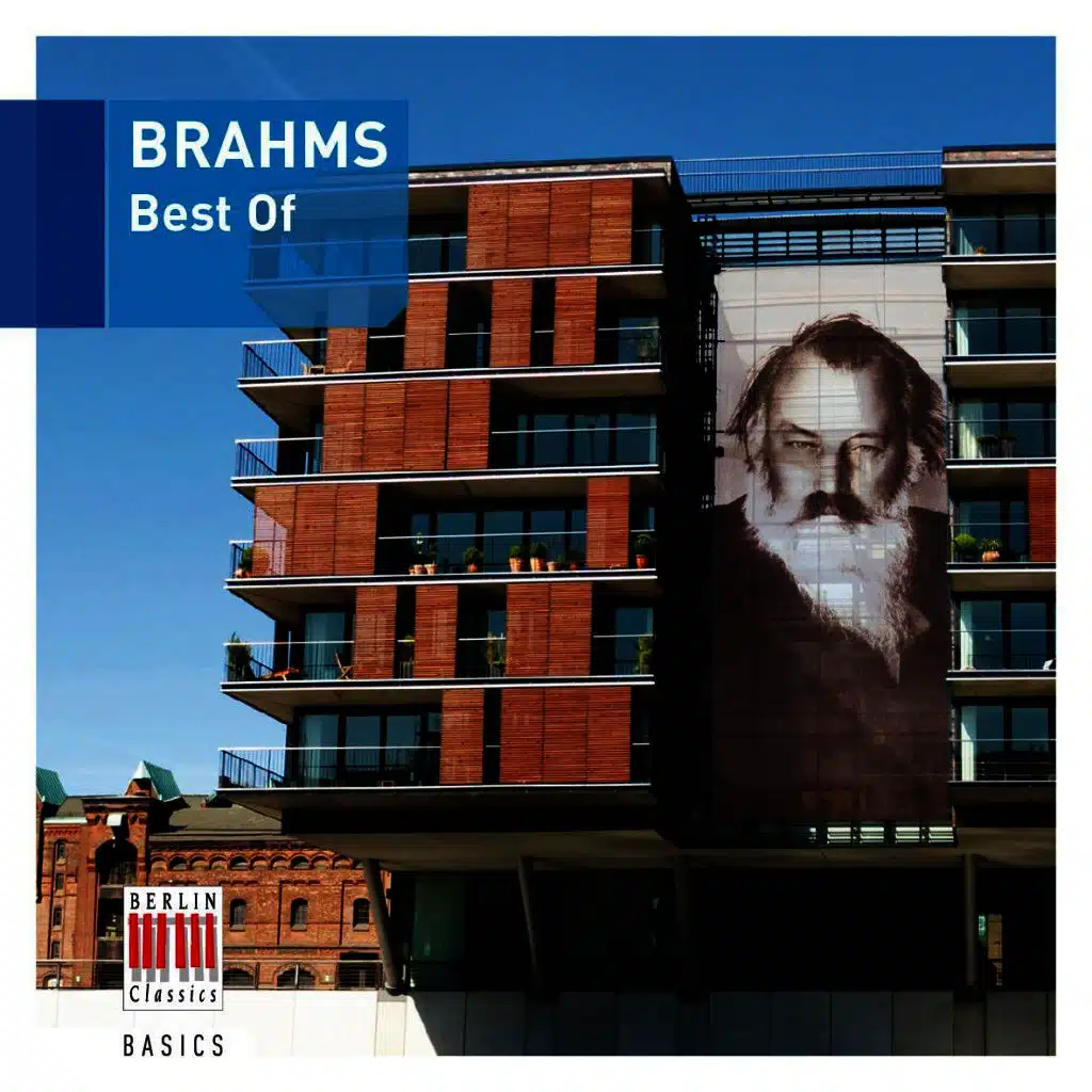 Violin Sonata No. 3 in D Minor, Op. 108: III. Un poco Presto e con sentimento