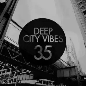 Deep City Vibes, Vol. 35