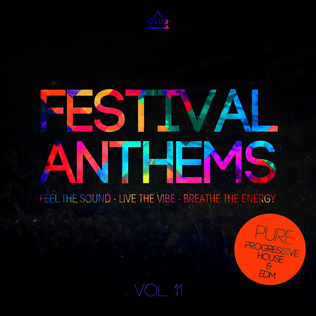 Festival Anthems, Vol. 11