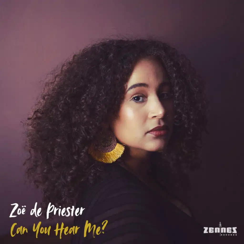 Can You Hear Me? (feat. Joris Teepe & Enrico Le Noci)