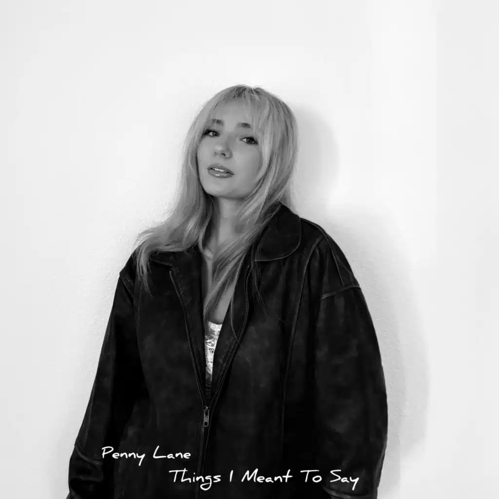 Things I Meant To Say