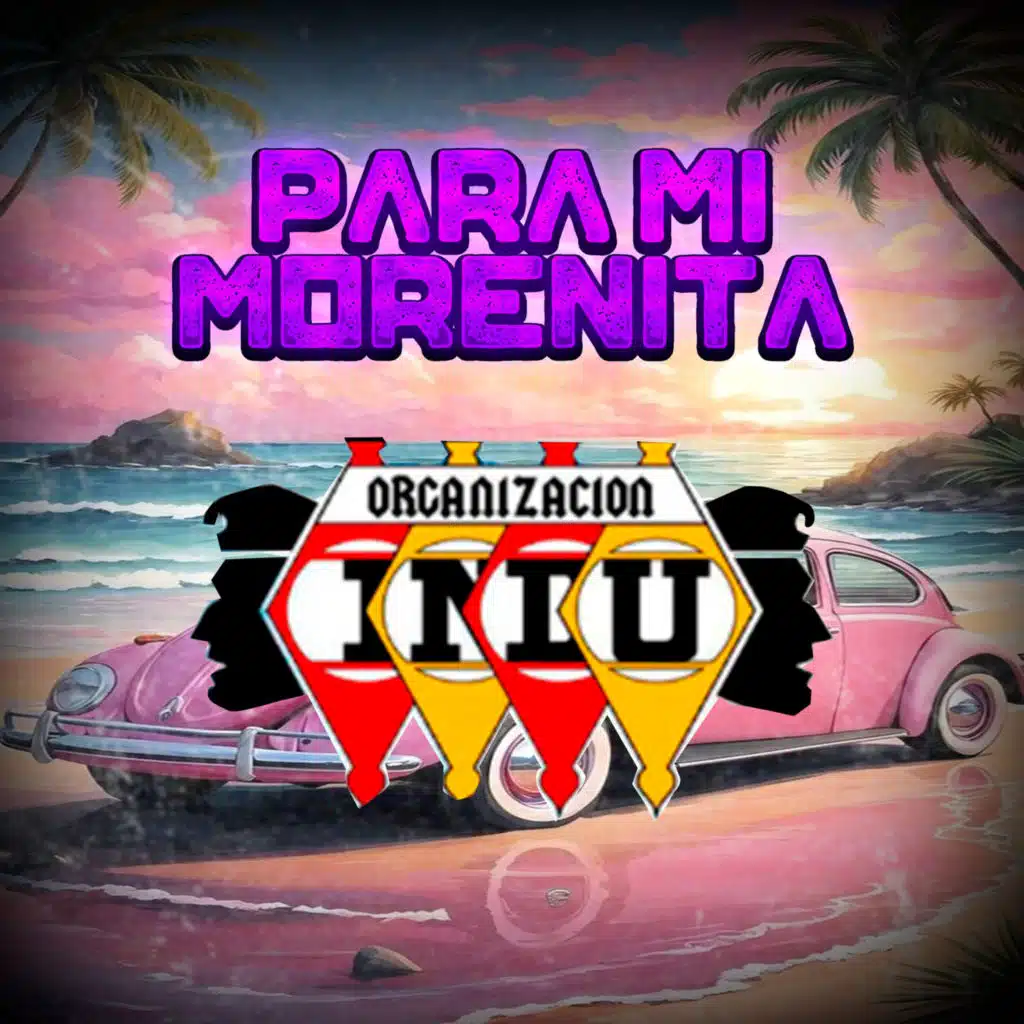 Organizacion Indu