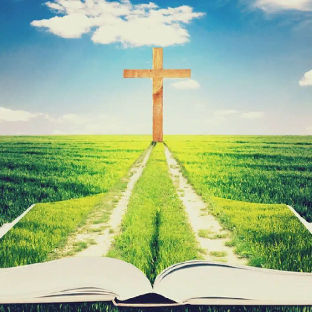 RALF FRIEDRICHS PODCAST