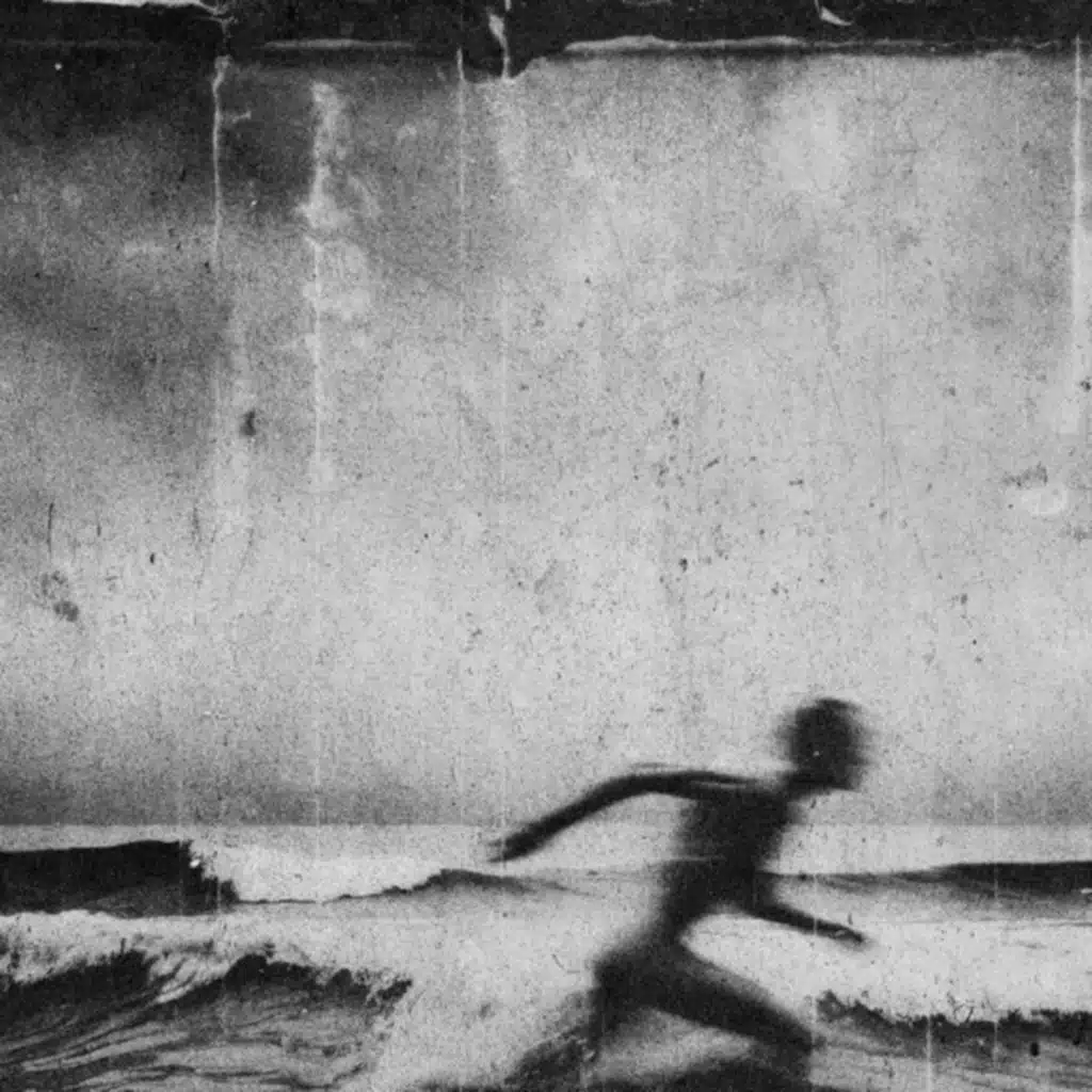 Trillium (Instrumental)