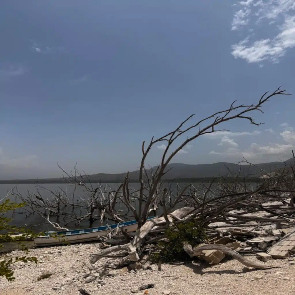 Watching the Sky Like Shoe Box