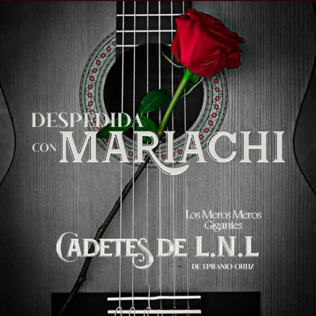 Despedida Con Mariachi
