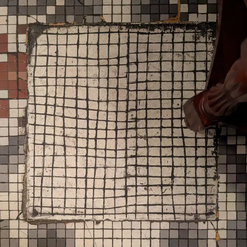 Bugs (in the Basement!)