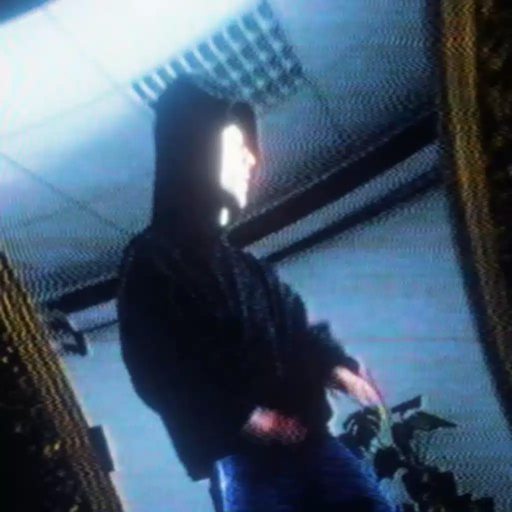 Legitimní Výpověď