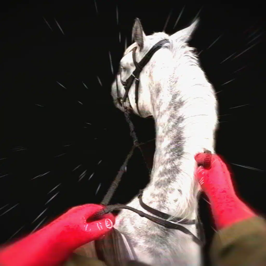 Bon Boys Will Break Your Heart