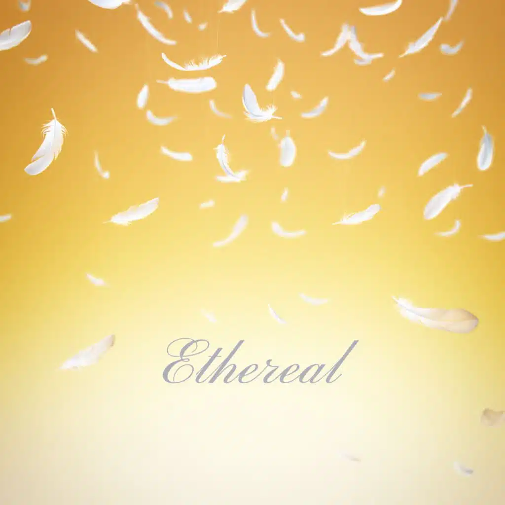 Ethereal (无)