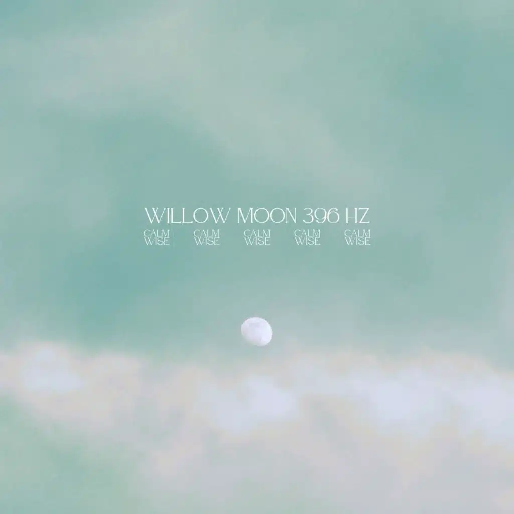 calmwise