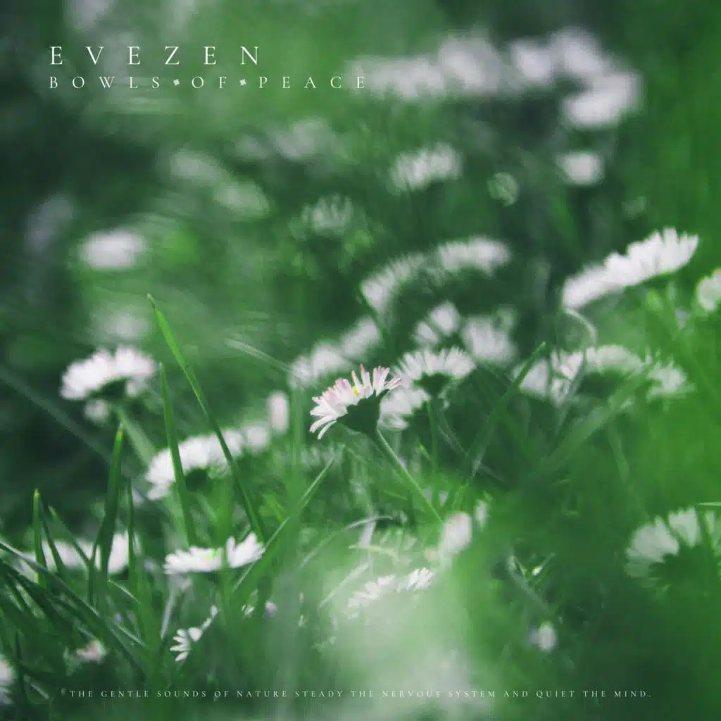 Evezen