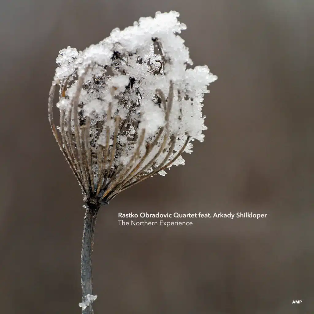 The Northern Experience (feat. Arkady Shilkloper)