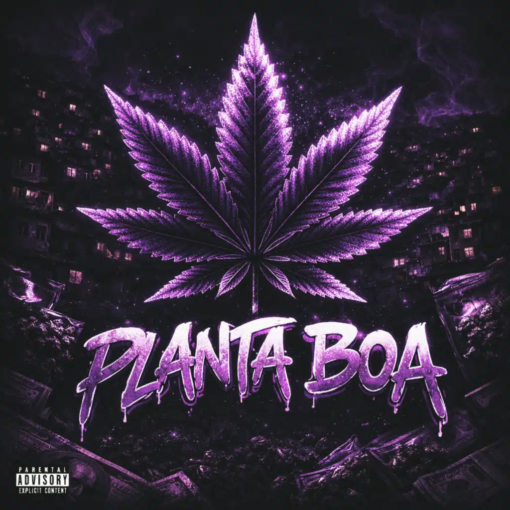 Planta Boa