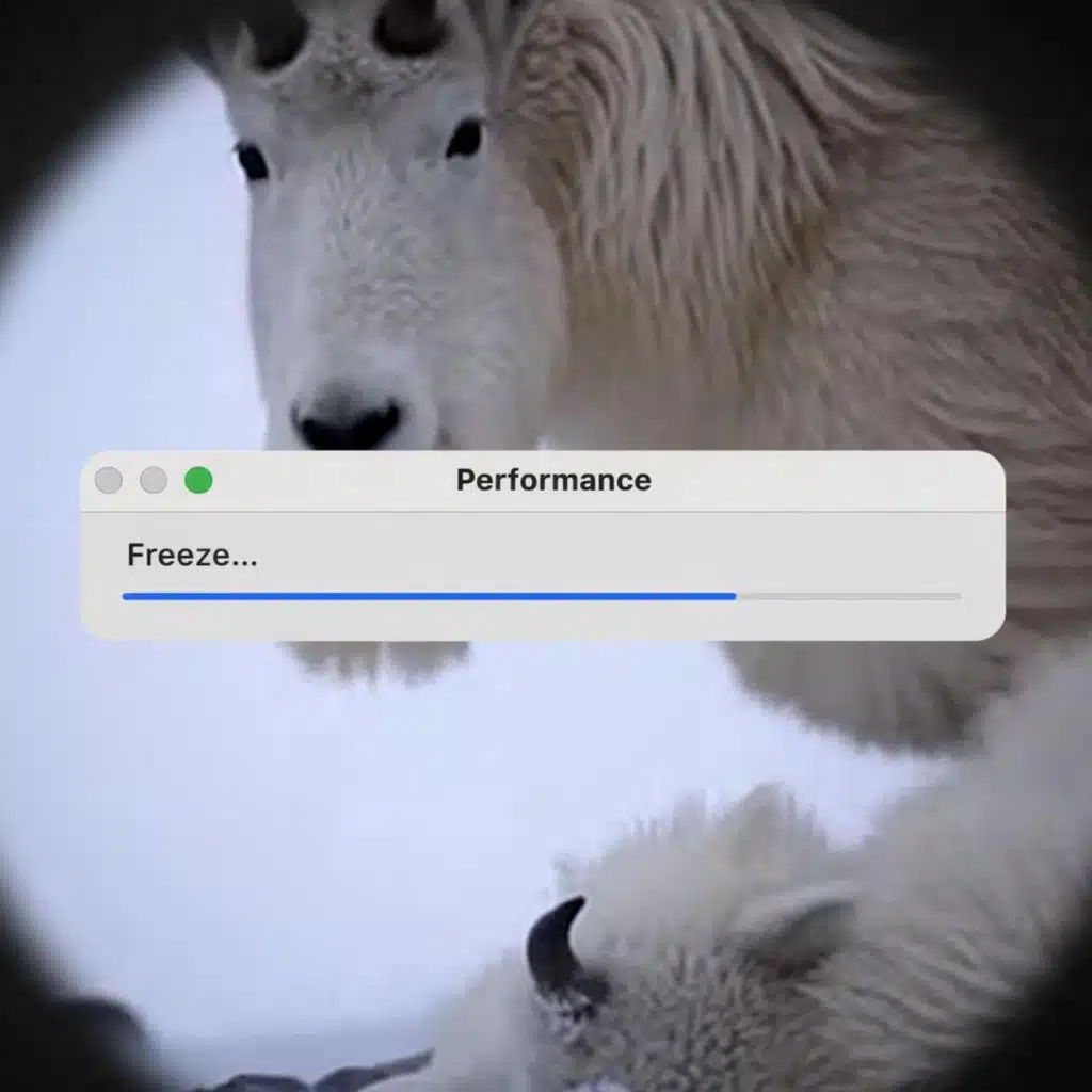 Performance
